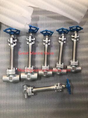 วาล์วกลอบไครโอเจนิกสตับยาว SUS, โคสต์สตีล -196